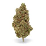 White Widow