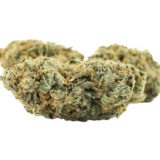 Critical Kush