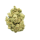 Gorilla Glue