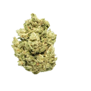 Gorilla Glue
