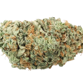 Jack Herer
